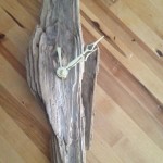 driftwood clock