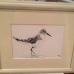 sandpiper